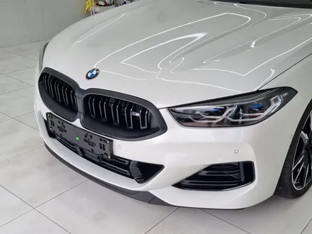 일산 PPF는 SW게러지 - BMW 8시리즈 블랙 PPF / 고양,일산,김포