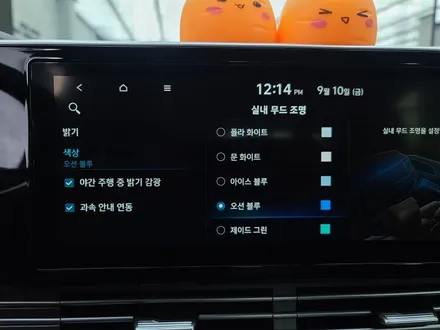 부산 더뉴 그랜저ig 순정 엠비언트 시공 / 강서구 대저1동