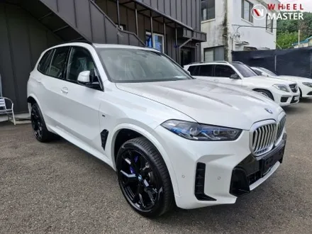 X5 21인치 신차 검정유광 분체도장 /신차휠도색 / 파주,일산