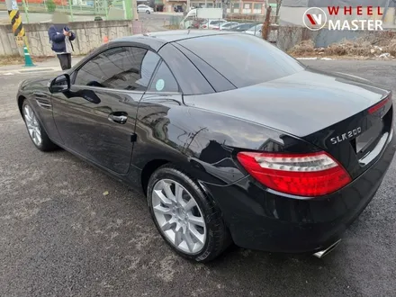 벤츠 SLK200 17\
