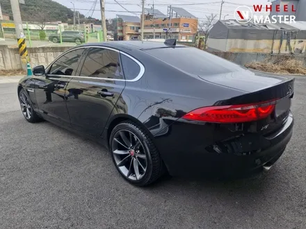 재규어 XF 19\