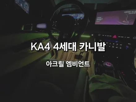 4세대 카니발/DMX 아크릴 매립형 엠비언트 라이트/충남 천안 미스터카 디테일링샵 / 천안 신부동