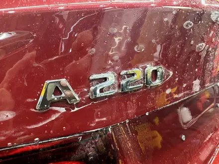 김포 PPF 벤츠 A220 무탈거! 엠블럼까지 짜릿하게 피했습니다! / 덕양, 고양, 상암
