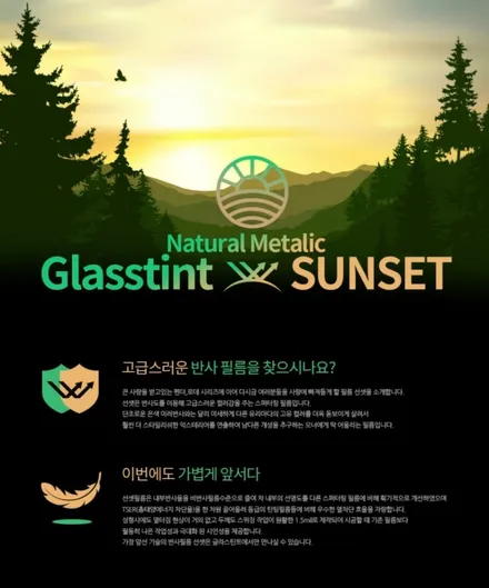 <포드 토러스> 글라스틴트 선셋 시공기!!! / 동탄 반송동