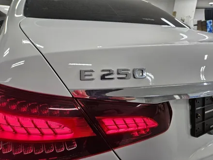 벤츠 e250 썬팅, 루마 버텍스 만족도 최고 / 고양 덕양구 신원동