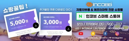 팰리세이드 싼타페TM 신형 카니발 KA4 신형 투싼 NX4 엠블럼 교체 튜닝 작업 / 인코브(INCOBB KOREA) / 부산,김해