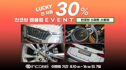 부산 그랜드 카니발 튜닝 기아 엠블럼 / 부산,김해