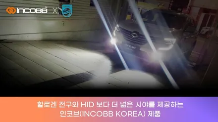 K5 SM5 SM6 싼타페DM 필립스 36W LED 안개등 / 부산,김해