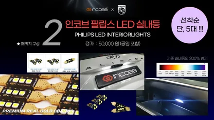 팰리세이드 엠비언트, 튜닝 TOP 5 패키지 / 비노출 엠비언트라이트, LED 풋등, LED실내등, 인코브 엠블럼, LED도어스커프 / 부산,김해