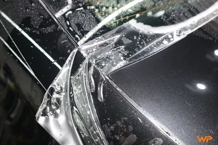 BMW G60 5시리즈 고양이 테러 방지 보호필름 시공기 광진구ppf / 광진구 중곡동