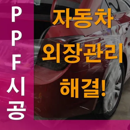 ppf 자동차보호필름 하는 이유 / 수원 영화동