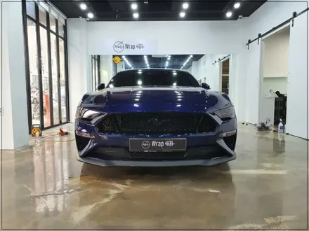 머스탱 GT 라이트 스모그 PPF 랩 401 용인 PPF 스모그 PPF 시공!! / 용인, 광교, 성남