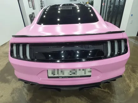용인랩핑업체 머스탱 GT 에이버리 사틴 버블 껌 핑크 전체랩핑 시공!! 랩 401 / 용인, 광교, 성남