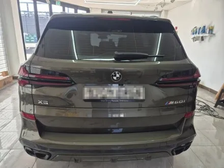 BMW X5 3M 2080 유광 라즈베리 블루 전체 랩핑 WRAP91 / 마산, 김해, 창원