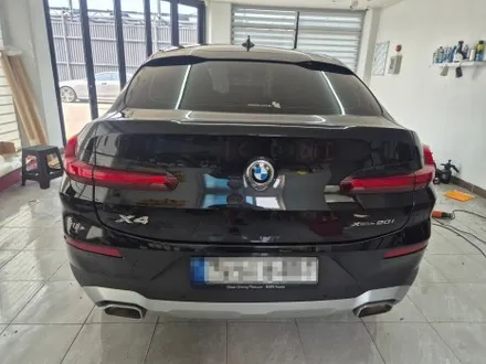 BMW X4 브라바도 매트 화이트 전체 랩핑 WRAP91 / 마산, 김해, 창원