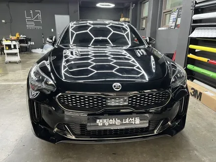 (남양주랩핑샵)스팅어전체랩핑제거-랩핑하는녀석들- / 남양주시 별내동