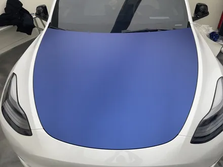 Model Y 전체 랩핑 시공기! / 서울 중랑구 망우동