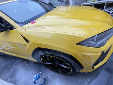 Lamborghini Urus 전체 PPF 시공기 / 서울 중랑구 망우동
