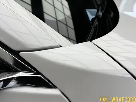 동탄PPF BMW7시리즈 도장면에 자가복원기능을? / 동탄 영천동