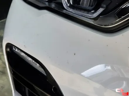 BMW X5 40I 동탄PPF 시멘트 비산 사고로 인한 제거 그리고 광택 유리막 1편 / 동탄 영천동