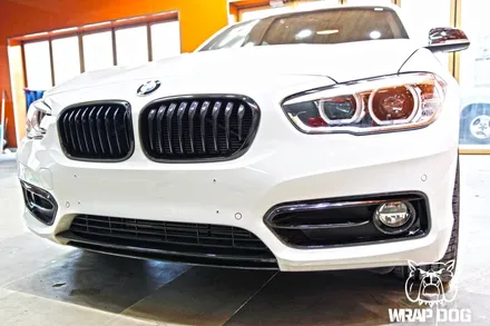 BMW[118d] PPF 생활보호패키지 일산랩독[WRAP DOG] / 일산서구 구산동