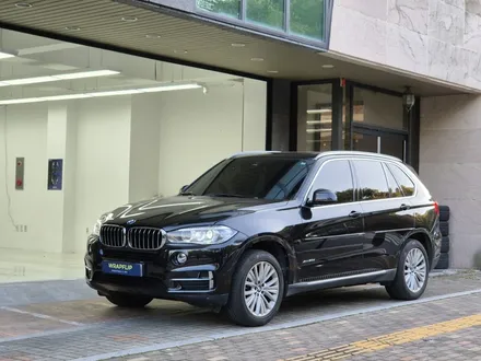 BMW X5 문콕방지 네오가드(가디언 도어가드) 분당 도어가드 시공점 랩핑샵 랩플립 / 성남시 중원구 여수동