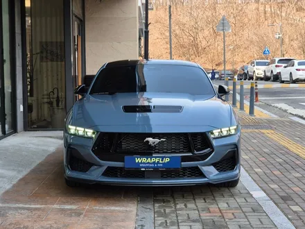 포드 머스탱 GT 루프스킨,스포일러,사이드미러 부분 블랙PPF 시공 분당랩핑샵 랩플립 / 성남시 중원구 여수동