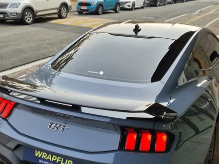 포드 머스탱 GT 루프스킨,스포일러,사이드미러 부분 블랙PPF 시공 분당랩핑샵 랩플립 / 성남시 중원구 여수동