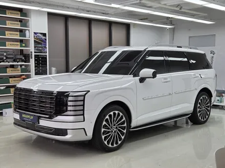 신형 팰리세이드 LX3 부분랩핑 윈도우 크롬죽이기+문콕방지 도어가드 가디언 네오가드 시공 성남 랩핑샵 랩플립 / 성남시 중원구 여수동
