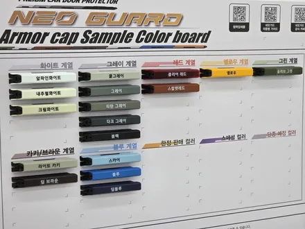 성남,분당,판교ㅣ 르노 필랑트 도어가드 시공 ㅣ가디언 네오가드 시공으로 문콕 걱정 해결 [랩플립] / 성남시 중원구 여수동