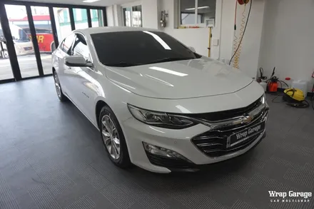 청주 루프스킨 전문점 랩게러지에서 말리부 옷을입히자! / 청주시 청원구