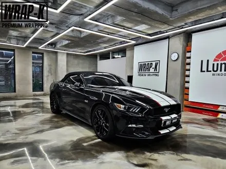 머스탱 쉘비 gt500 바이퍼라인 휠도색  강서구 랩핑 튜닝 / 경기 고양 덕양