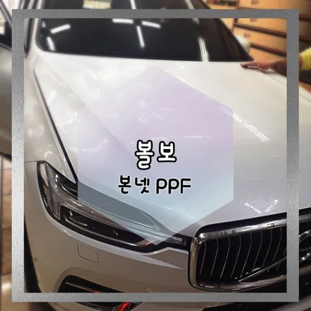 JEJU-WRAPPER _ 볼보 본넷 PPF / 제주시 오라일동