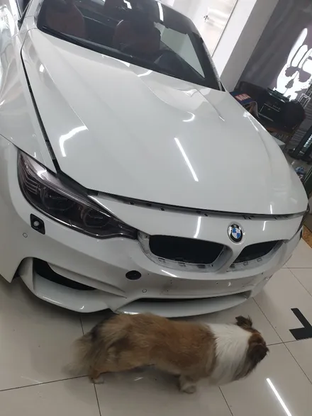 제주자동차랩핑 BMW 320i 전체랩핑 시공! 제주 래퍼샵 / 제주시 오라일동
