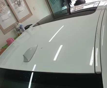 JEJU _ WRAPPER _ BMW 520d_ 루프스킨 & 사이드미러 / 제주시 오라일동