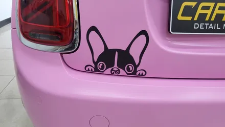 미니 쿠퍼 버블검 핑크 전체랩핑 시공! / 화성, 동탄, 용인, 오산
