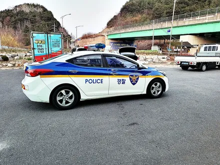 [랩샵][수원랩핑] 현대 아반테MD 경찰차랩핑 관공서차량랩핑 / 수원시 영통구 이의동