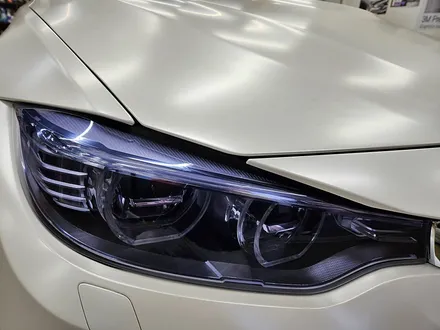 [랩샵][수원PPF] BMW M4 F82 라이트PPF 라이트필름 클리프디자인PPF / 수원시 영통구 이의동