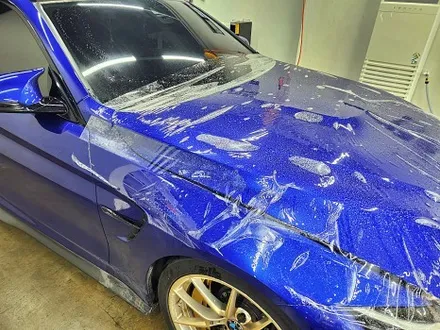 BMW F82 M4 본넷PPF 제시공 / 수원시 영통구 이의동
