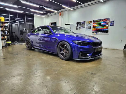 [랩샵][수원PPF] BMW M4 F82 라이트PPF 클리프디자인라이트PPF / 수원시 영통구 이의동
