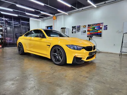[랩샵][수원랩핑] BMW F82 M4 라이트PPF+포인트랩핑 / 수원시 영통구 이의동