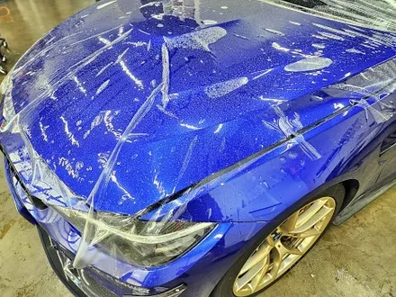 BMW F82 M4 본넷PPF 제시공 / 수원시 영통구 이의동