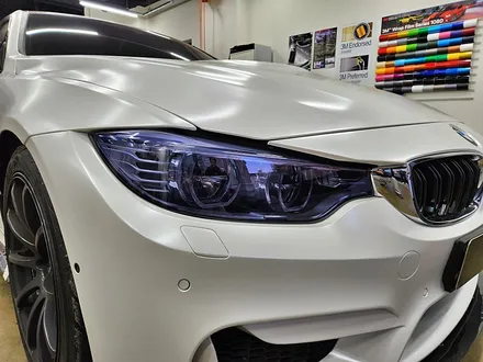 [랩샵][수원PPF] BMW M4 F82 라이트PPF 라이트필름 클리프디자인PPF / 수원시 영통구 이의동