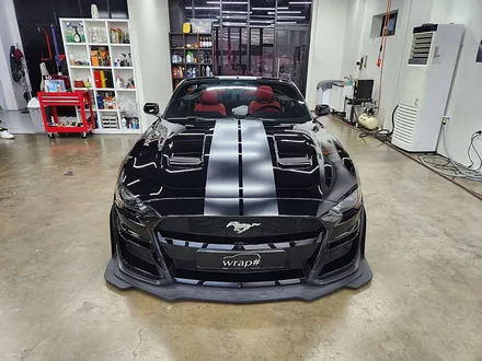 포드 머스탱 5.0 GT 컨버터블 바이퍼라인 포인트 고광택 랩핑 포인트데칼 고퀄리티 1인시공 / 수원시 영통구 이의동