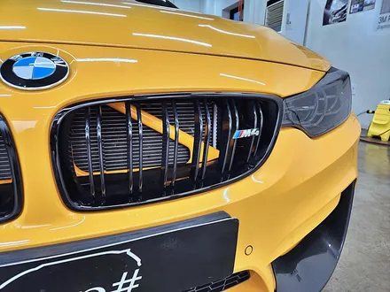 [랩샵][수원랩핑] BMW F82 M4 라이트PPF+포인트랩핑 / 수원시 영통구 이의동