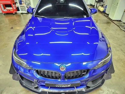 BMW F82 M4 본넷PPF 제시공 / 수원시 영통구 이의동