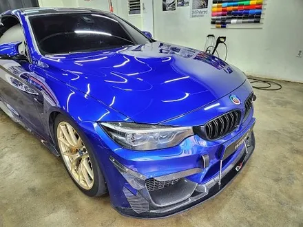 BMW F82 M4 본넷PPF 제시공 / 수원시 영통구 이의동