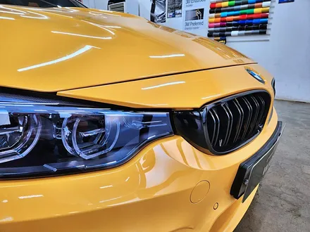 [랩샵][수원랩핑] BMW F82 M4 라이트PPF+포인트랩핑 / 수원시 영통구 이의동