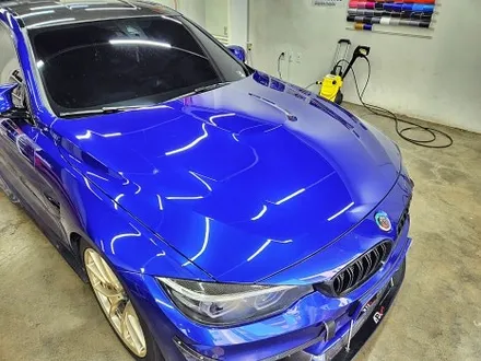 BMW F82 M4 본넷PPF 제시공 / 수원시 영통구 이의동