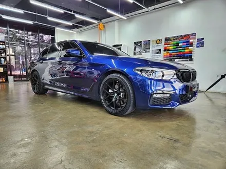BMW G30 5시리즈 생활보호 라이트 트렁크리드 PPF 사이드미러랩핑 신차 범퍼 PPF 맛집 / 수원시 영통구 이의동